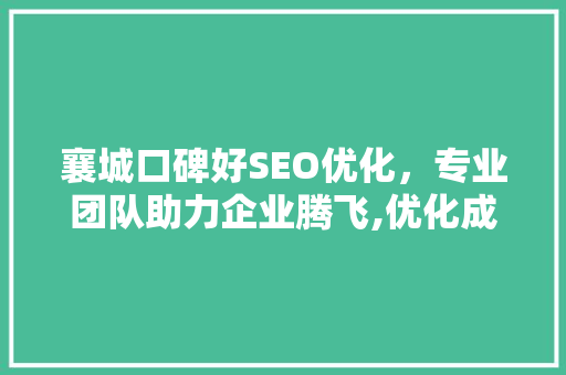 襄城口碑好SEO优化，专业团队助力企业腾飞,优化成本与价值