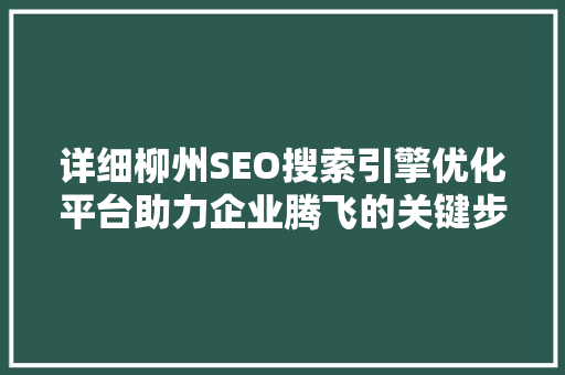 详细柳州SEO搜索引擎优化平台助力企业腾飞的关键步骤