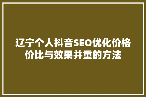 辽宁个人抖音SEO优化价格价比与效果并重的方法