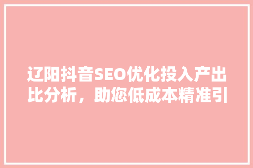 辽阳抖音SEO优化投入产出比分析，助您低成本精准引流