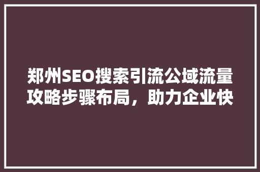 郑州SEO搜索引流公域流量攻略步骤布局，助力企业快速崛起