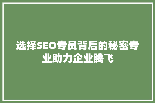 选择SEO专员背后的秘密专业助力企业腾飞
