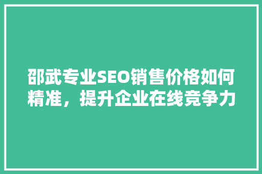 邵武专业SEO销售价格如何精准，提升企业在线竞争力