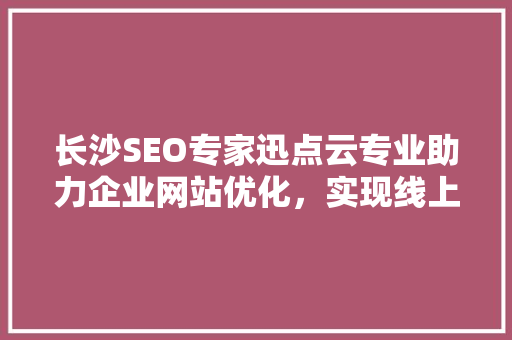 长沙SEO专家迅点云专业助力企业网站优化，实现线上业绩飞跃