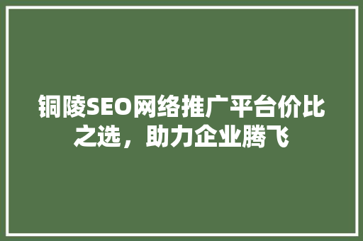 铜陵SEO网络推广平台价比之选，助力企业腾飞