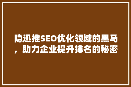 隐迅推SEO优化领域的黑马，助力企业提升排名的秘密武器