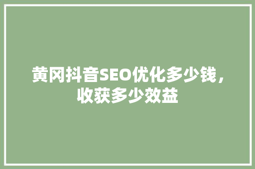 黄冈抖音SEO优化多少钱，收获多少效益