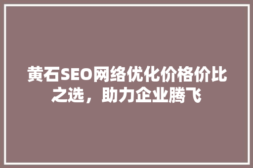 黄石SEO网络优化价格价比之选，助力企业腾飞