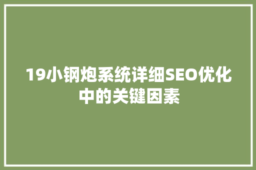 19小钢炮系统详细SEO优化中的关键因素