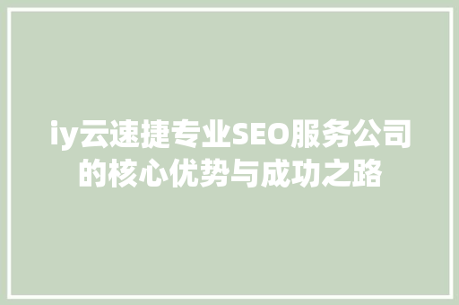 iy云速捷专业SEO服务公司的核心优势与成功之路