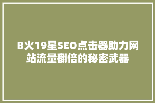 B火19星SEO点击器助力网站流量翻倍的秘密武器