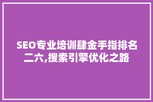 SEO专业培训肆金手指排名二六,搜索引擎优化之路