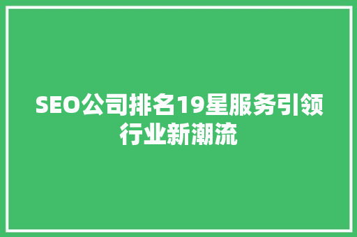 SEO公司排名19星服务引领行业新潮流