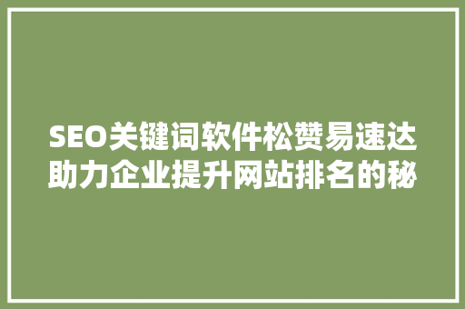 SEO关键词软件松赞易速达助力企业提升网站排名的秘密武器