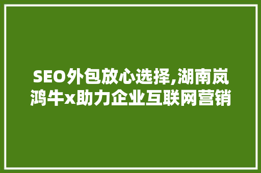 SEO外包放心选择,湖南岚鸿牛x助力企业互联网营销
