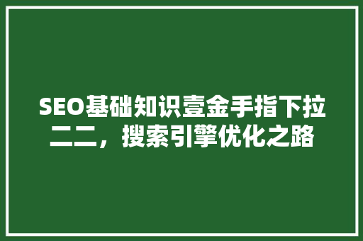 SEO基础知识壹金手指下拉二二，搜索引擎优化之路