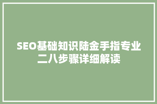 SEO基础知识陆金手指专业二八步骤详细解读