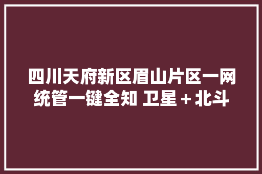 四川天府新区眉山片区一网统管一键全知 卫星＋北斗＋AI赋能城市智理