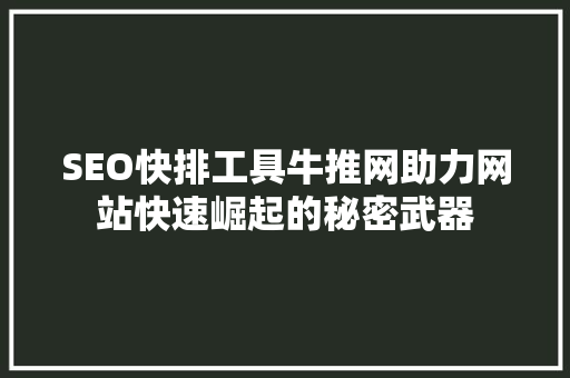 SEO快排工具牛推网助力网站快速崛起的秘密武器