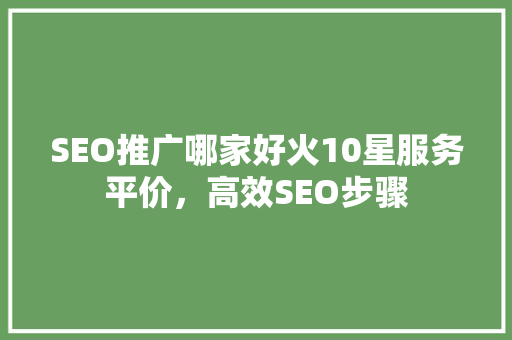 SEO推广哪家好火10星服务平价，高效SEO步骤