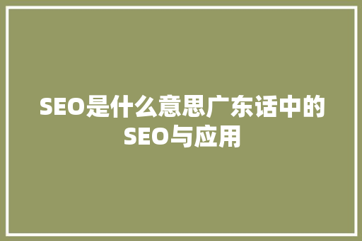 SEO是什么意思广东话中的SEO与应用