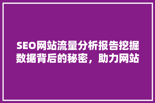 SEO网站流量分析报告挖掘数据背后的秘密，助力网站优化升级