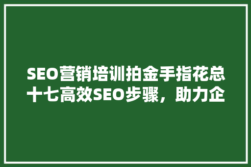 SEO营销培训拍金手指花总十七高效SEO步骤，助力企业腾飞