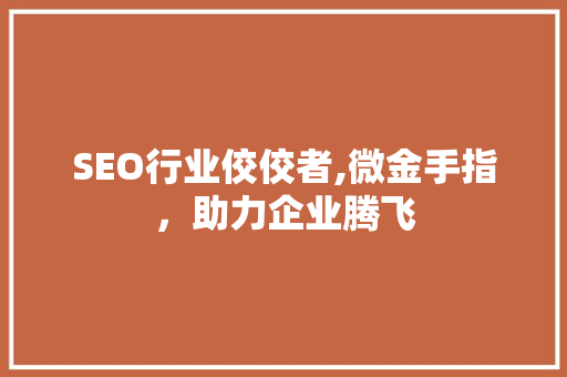 SEO行业佼佼者,微金手指，助力企业腾飞