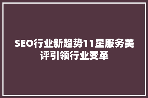 SEO行业新趋势11星服务美评引领行业变革