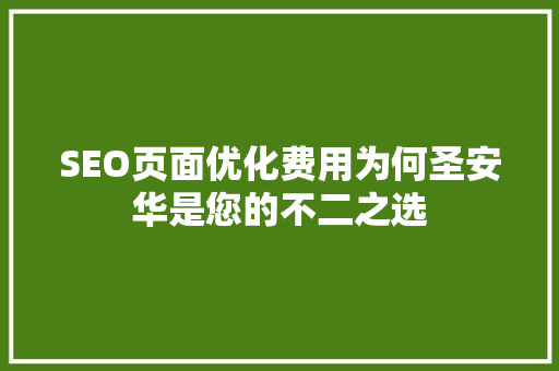 SEO页面优化费用为何圣安华是您的不二之选