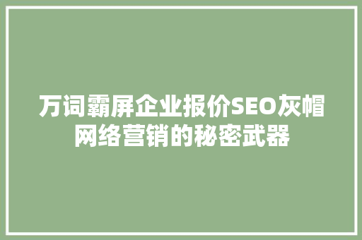 万词霸屏企业报价SEO灰帽网络营销的秘密武器