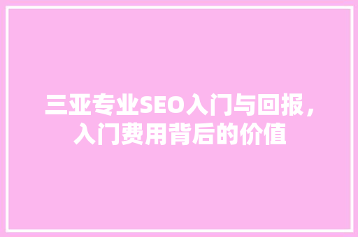 三亚专业SEO入门与回报，入门费用背后的价值