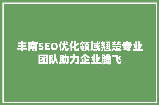 丰南SEO优化领域翘楚专业团队助力企业腾飞