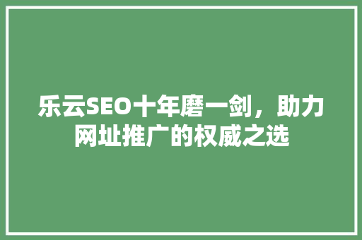 乐云SEO十年磨一剑，助力网址推广的权威之选