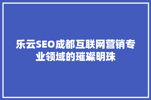 乐云SEO成都互联网营销专业领域的璀璨明珠