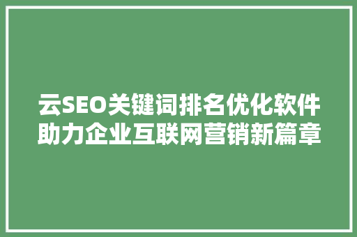 云SEO关键词排名优化软件助力企业互联网营销新篇章