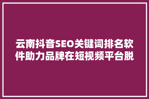 云南抖音SEO关键词排名软件助力品牌在短视频平台脱颖而出