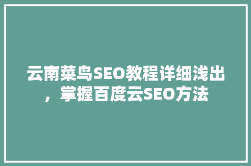 云南菜鸟SEO教程详细浅出，掌握百度云SEO方法