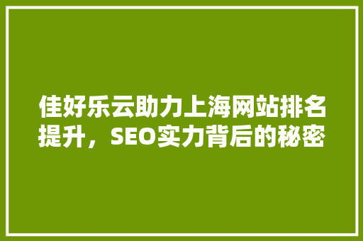 佳好乐云助力上海网站排名提升，SEO实力背后的秘密