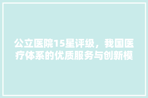 公立医院15星评级，我国医疗体系的优质服务与创新模式