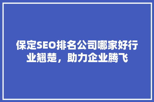 保定SEO排名公司哪家好行业翘楚，助力企业腾飞