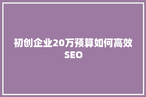 初创企业20万预算如何高效SEO