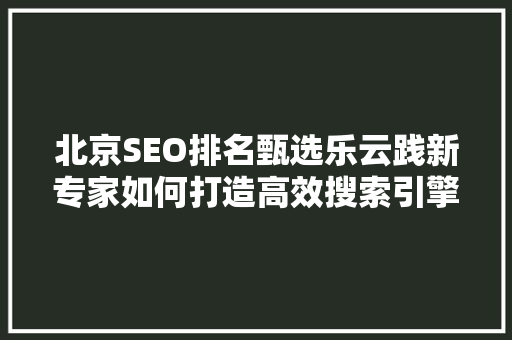 北京SEO排名甄选乐云践新专家如何打造高效搜索引擎优化步骤