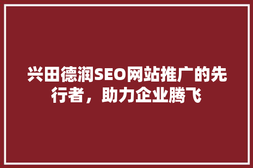 兴田德润SEO网站推广的先行者，助力企业腾飞