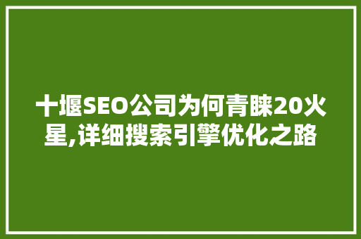 十堰SEO公司为何青睐20火星,详细搜索引擎优化之路