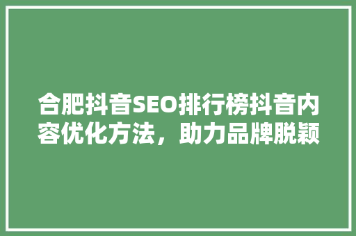 合肥抖音SEO排行榜抖音内容优化方法，助力品牌脱颖而出