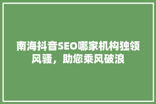 南海抖音SEO哪家机构独领风骚，助您乘风破浪