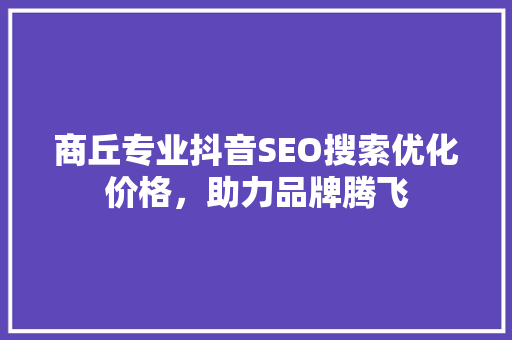 商丘专业抖音SEO搜索优化价格，助力品牌腾飞