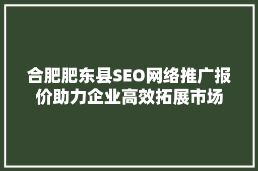 合肥肥东县SEO网络推广报价助力企业高效拓展市场