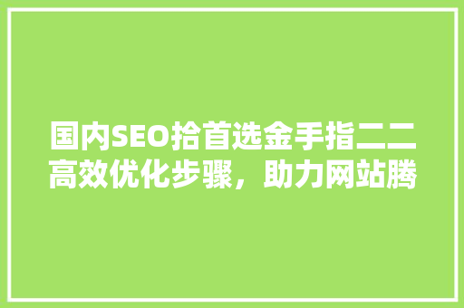 国内SEO拾首选金手指二二高效优化步骤，助力网站腾飞